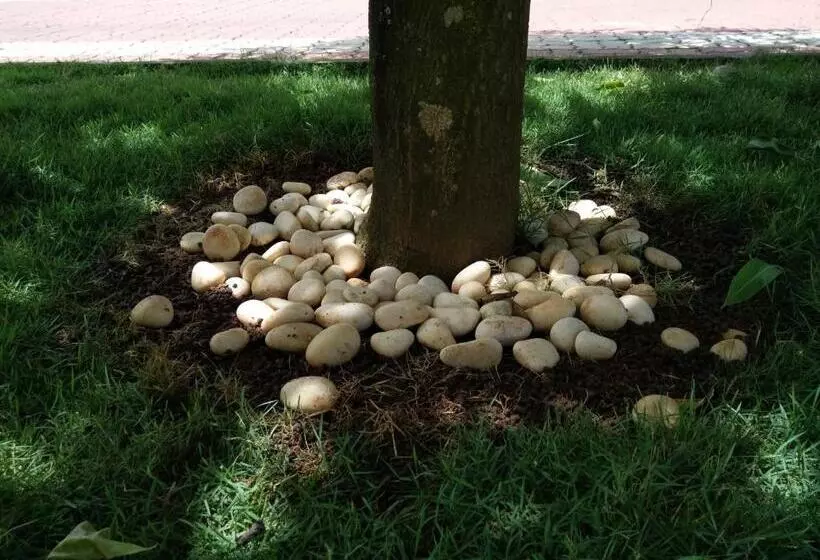 Hotelli Harum Manis Country House