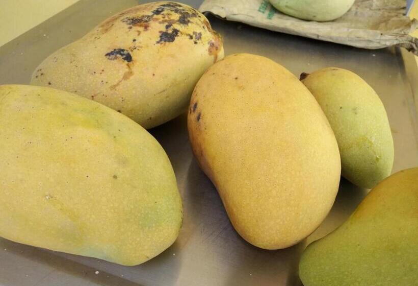 בית מלון כפרי Harum Manis Country House