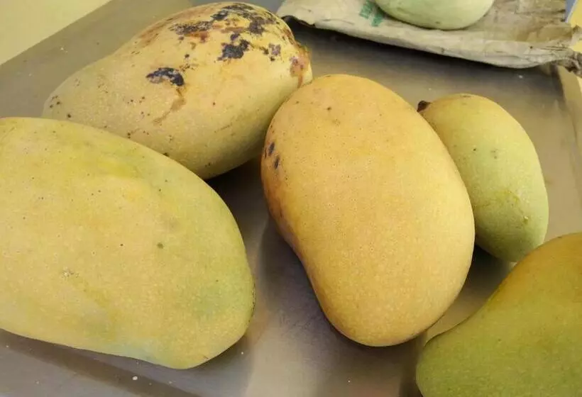 Hotelli Harum Manis Country House