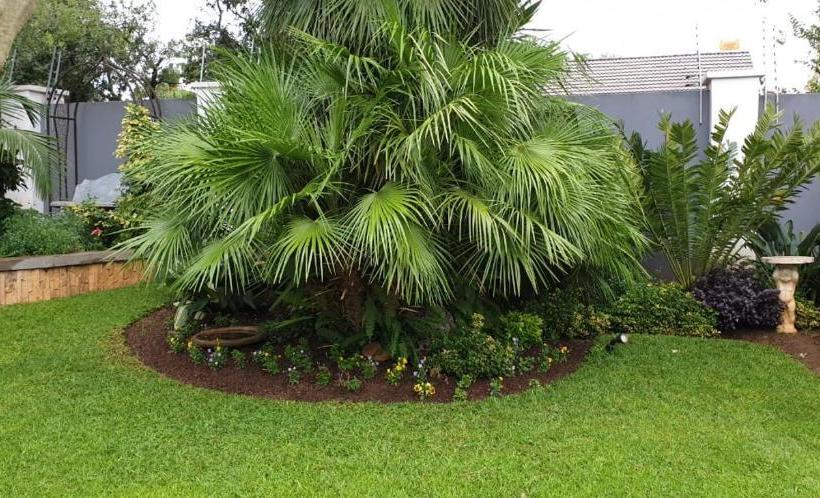 Пансион Familia Guesthouse