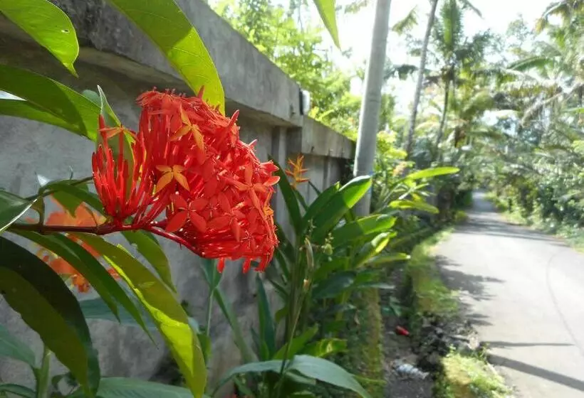 Majatalo Kubu Alas Tunggal Villa