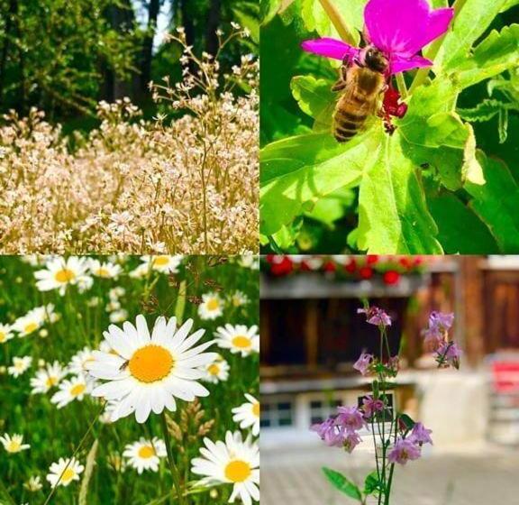 호스텔 Ferienhotel Idyll Gais