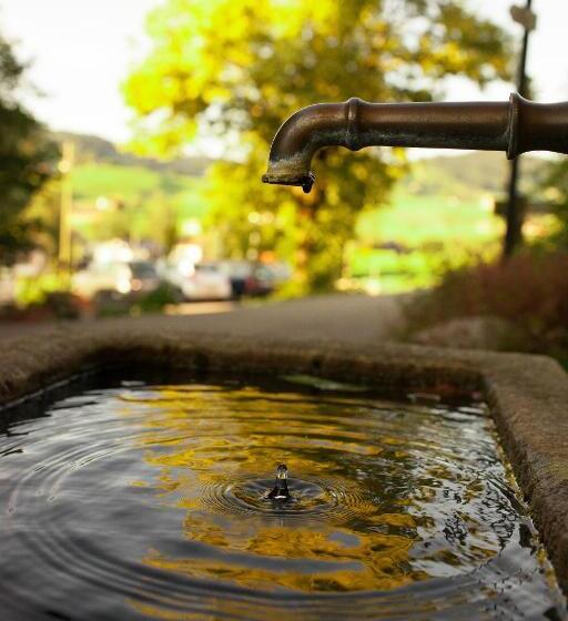 호스텔 Ferienhotel Idyll Gais