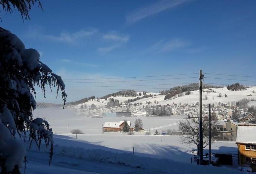 호스텔 Ferienhotel Idyll Gais