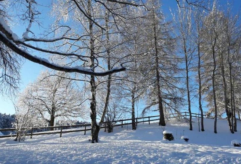 호스텔 Ferienhotel Idyll Gais