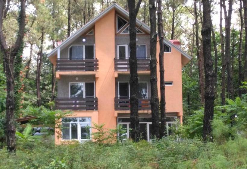 پانسیون Villa Vachnadze