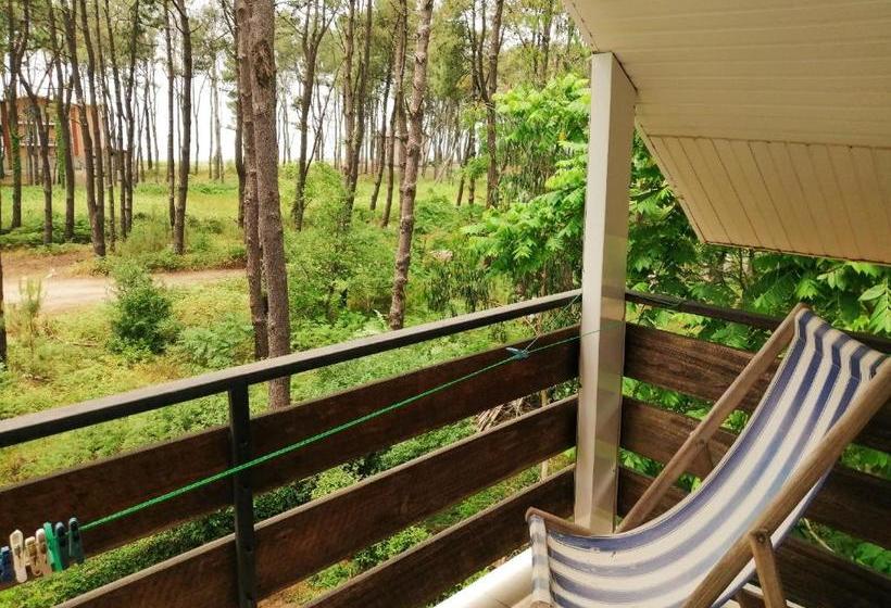 پانسیون Villa Vachnadze