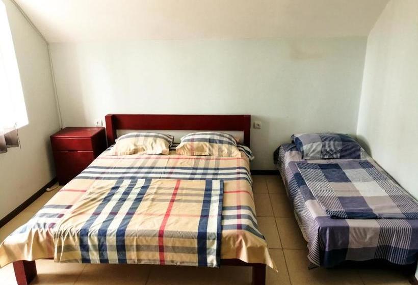 پانسیون Villa Vachnadze