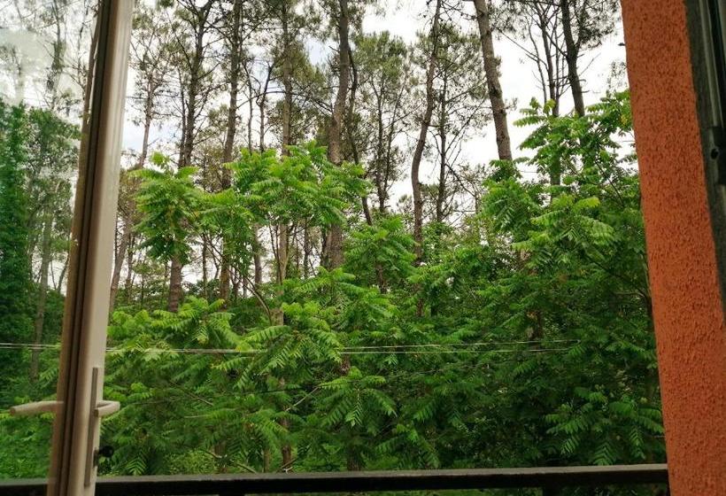 پانسیون Villa Vachnadze