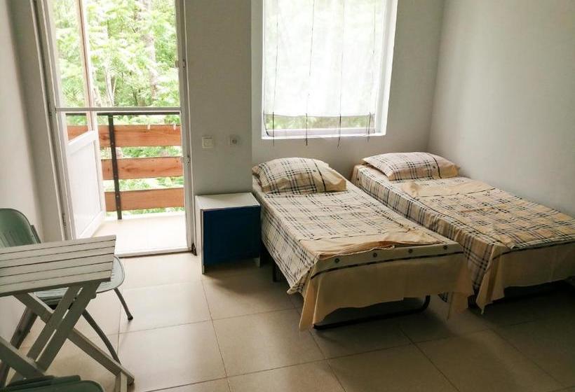 پانسیون Villa Vachnadze