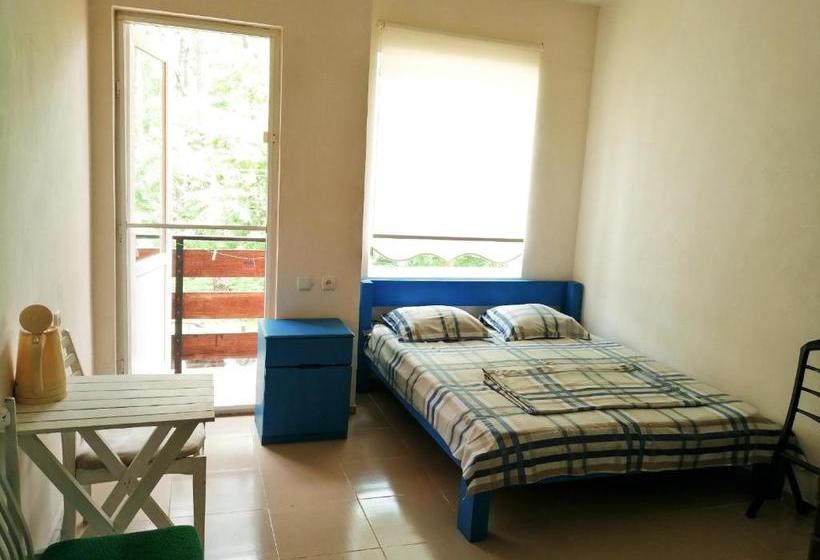 پانسیون Villa Vachnadze