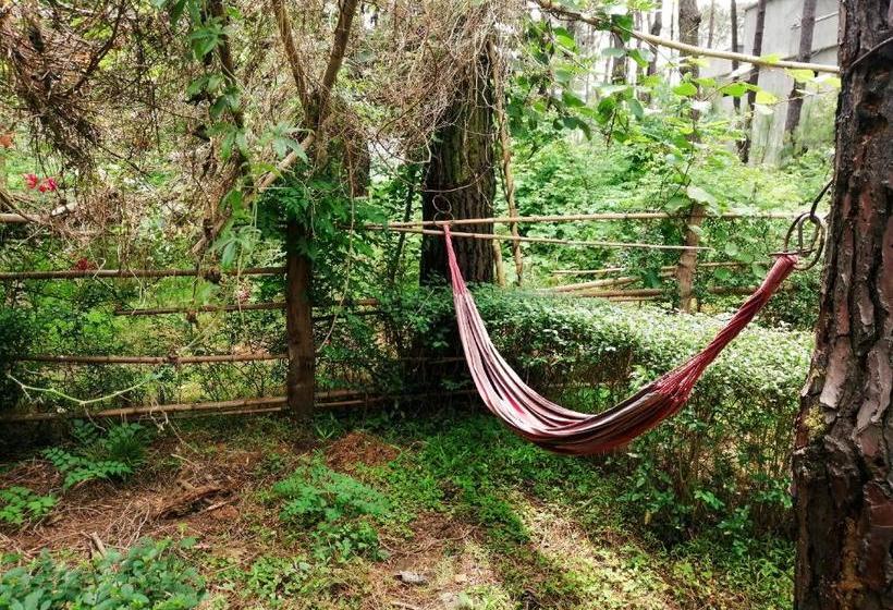 پانسیون Villa Vachnadze