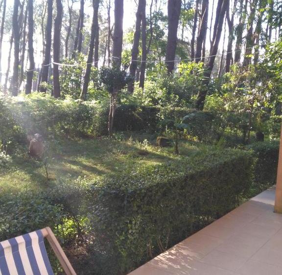 پانسیون Villa Vachnadze