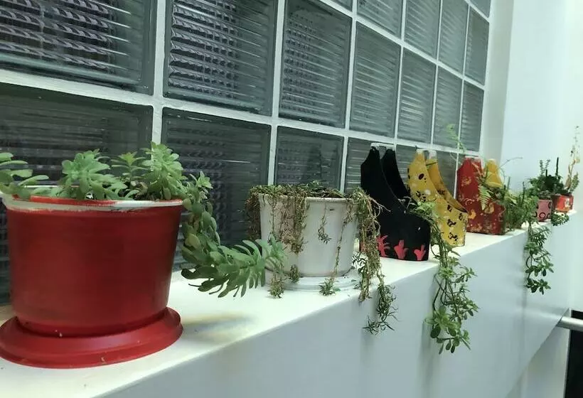 Eco Machupicchu Hostel