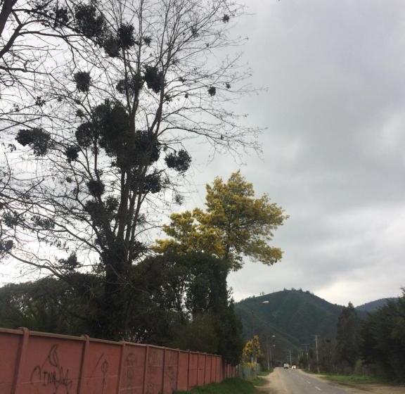 ペンション La Casa Vinilla