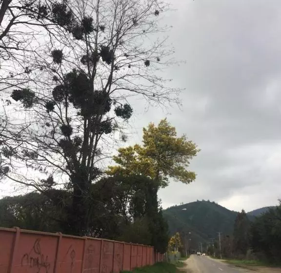 Majatalo La Casa Vinilla