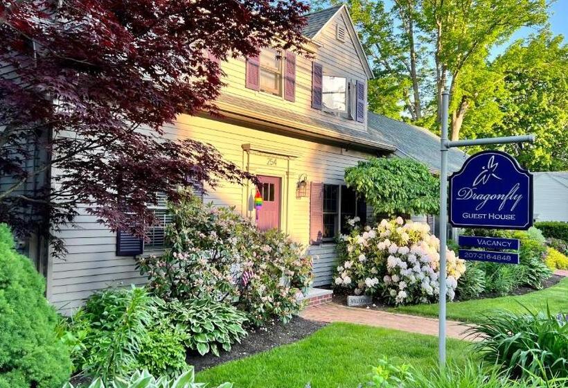 بنسيون Dragonfly Guest House