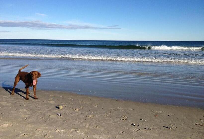 بنسيون Dragonfly Guest House