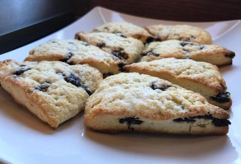 بنسيون Dragonfly Guest House