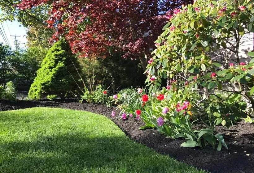 ペンション Dragonfly Guest House