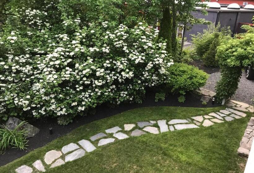 بنسيون Dragonfly Guest House