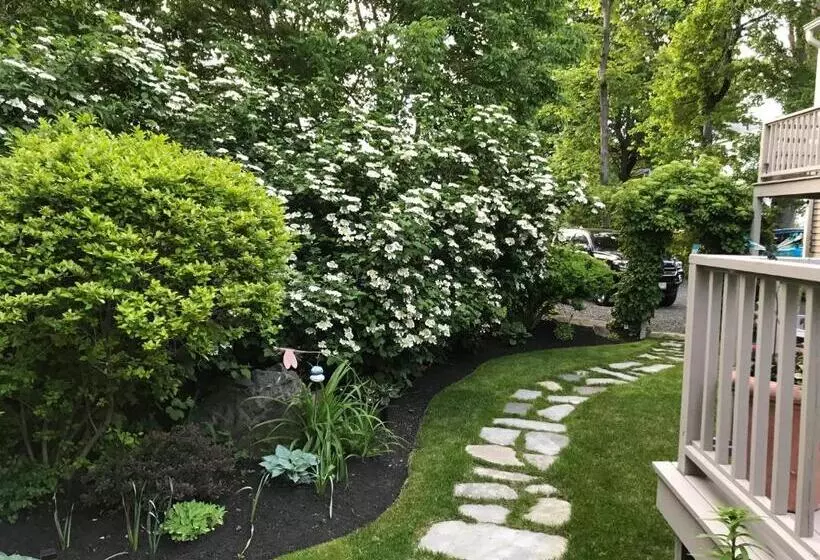 ペンション Dragonfly Guest House