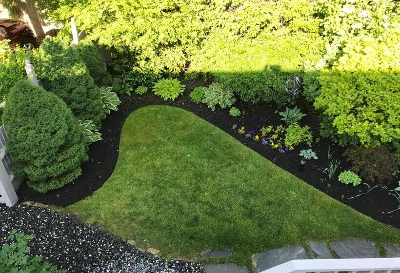 بنسيون Dragonfly Guest House