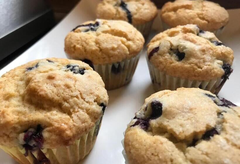 بنسيون Dragonfly Guest House