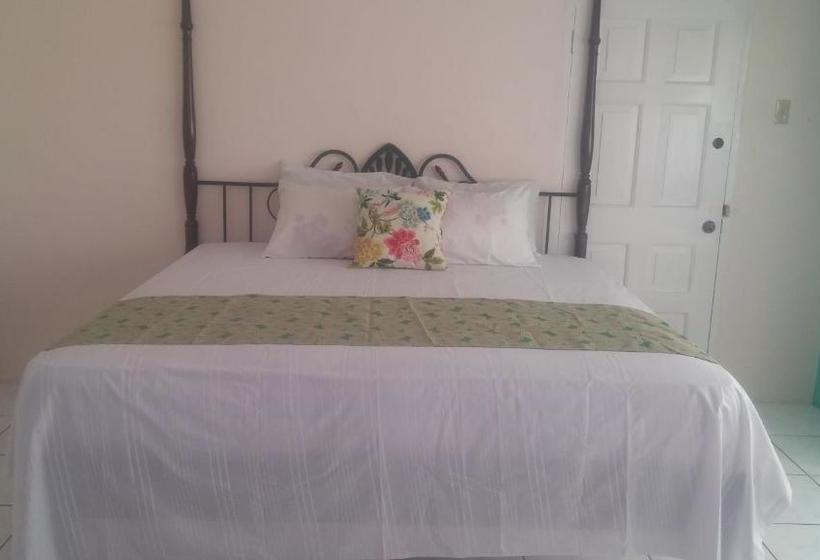 پانسیون G&r Guesthouse