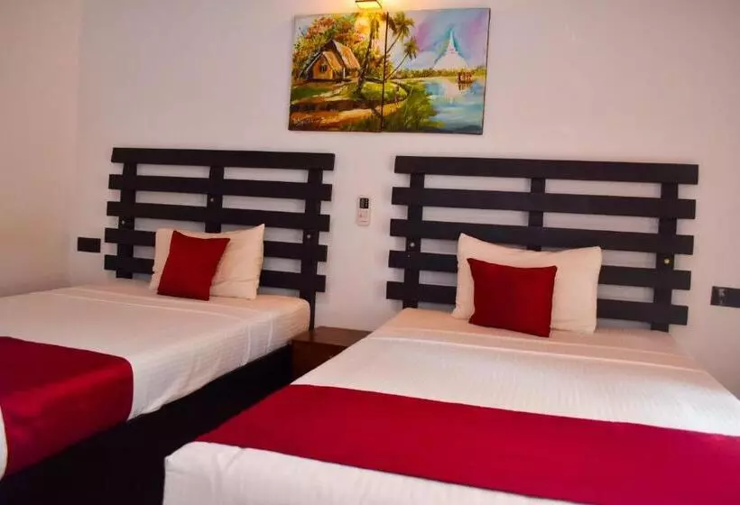 پانسیون Pivisuma Lodge