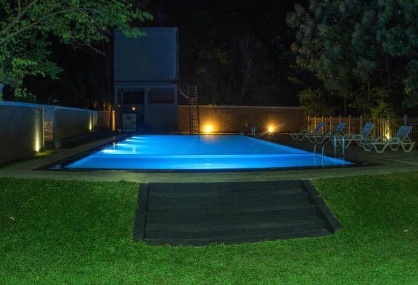 Panzió Pivisuma Lodge