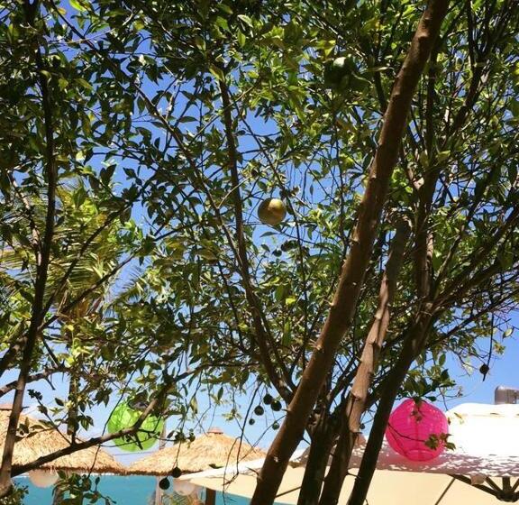 بنسيون Pousada Acgua Residenz