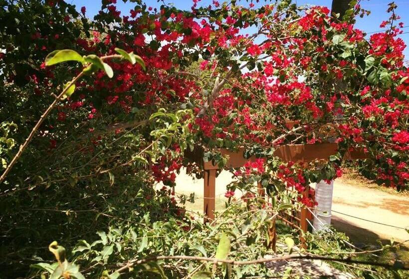 بنسيون Pousada Acgua Residenz