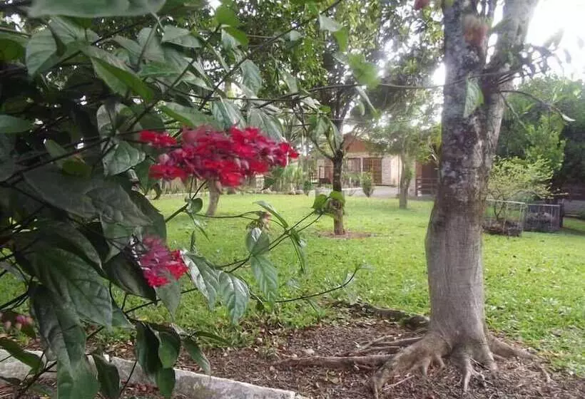 Majatalo Pousada Vó Liane