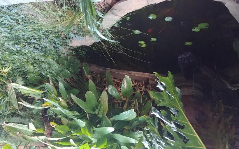 Pension Adorable Designs