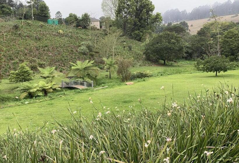 بنسيون Springside House