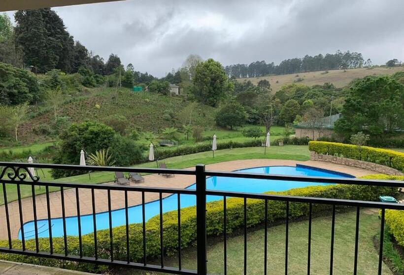 بنسيون Springside House