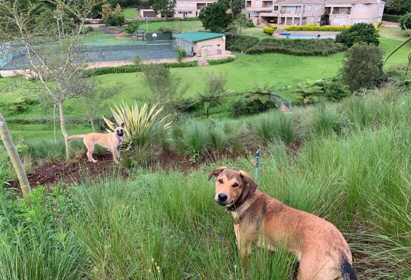 بنسيون Springside House