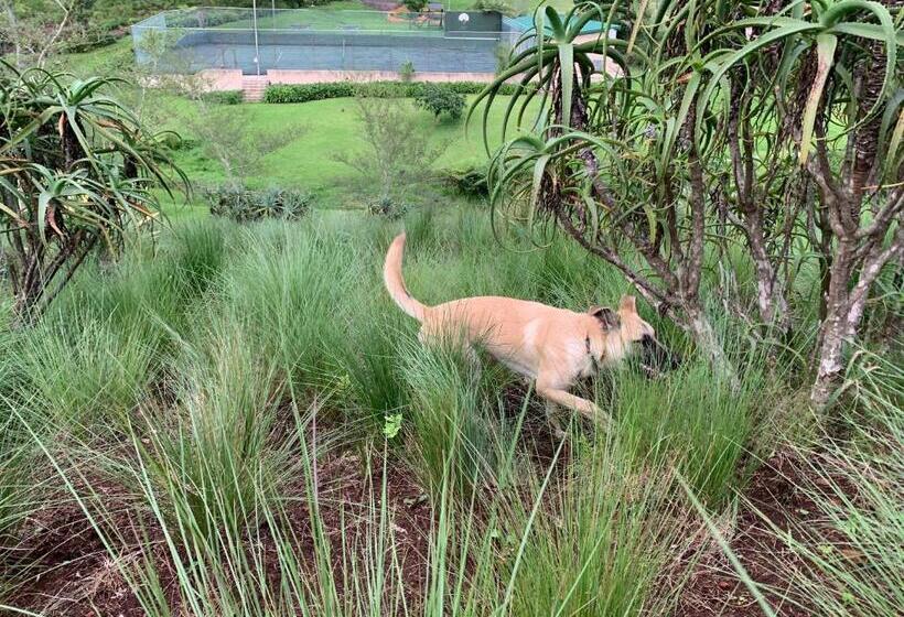 بنسيون Springside House