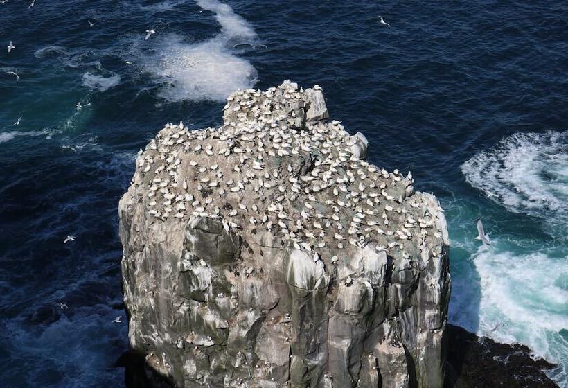 پانسیون Guesthouse Klettur