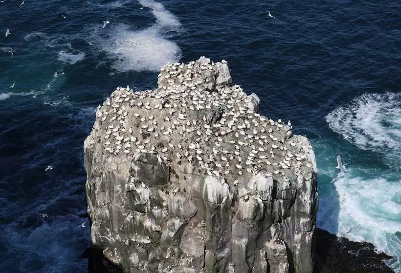 پانسیون Guesthouse Klettur