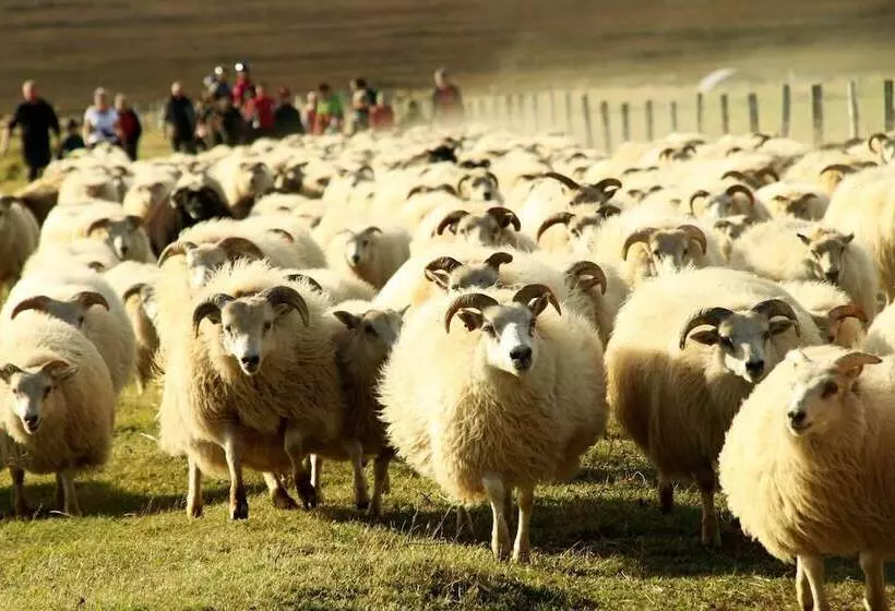 پانسیون Guesthouse Klettur