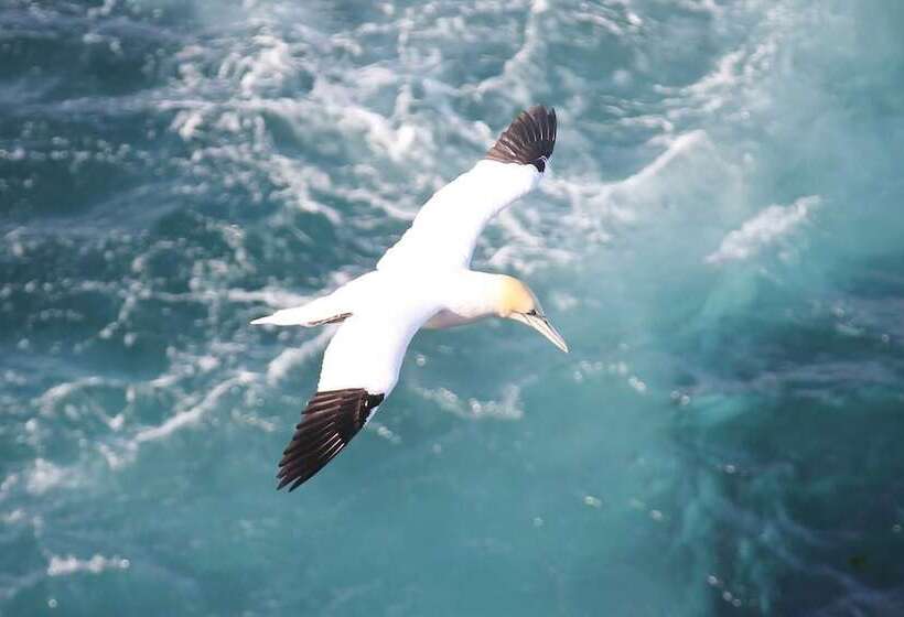 پانسیون Guesthouse Klettur