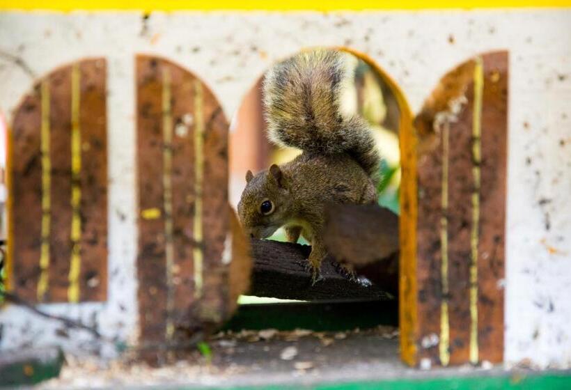 بنسيون Pousada Lago Azul