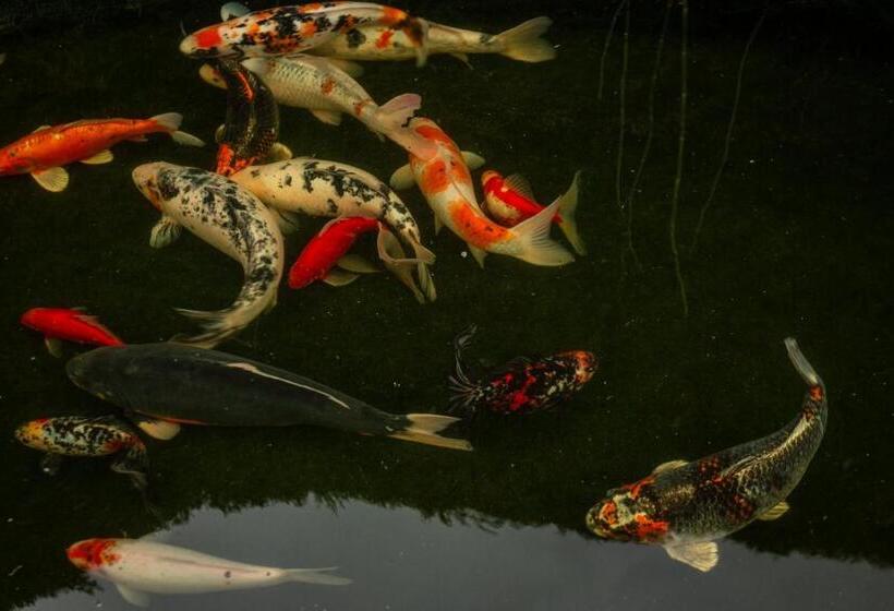 Pensió Guest House Família