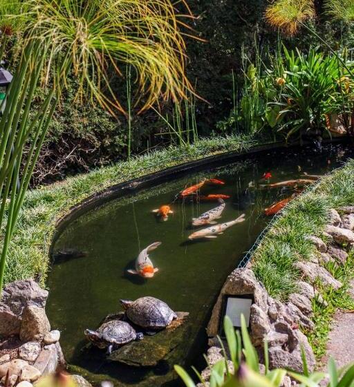 Pensió Guest House Família