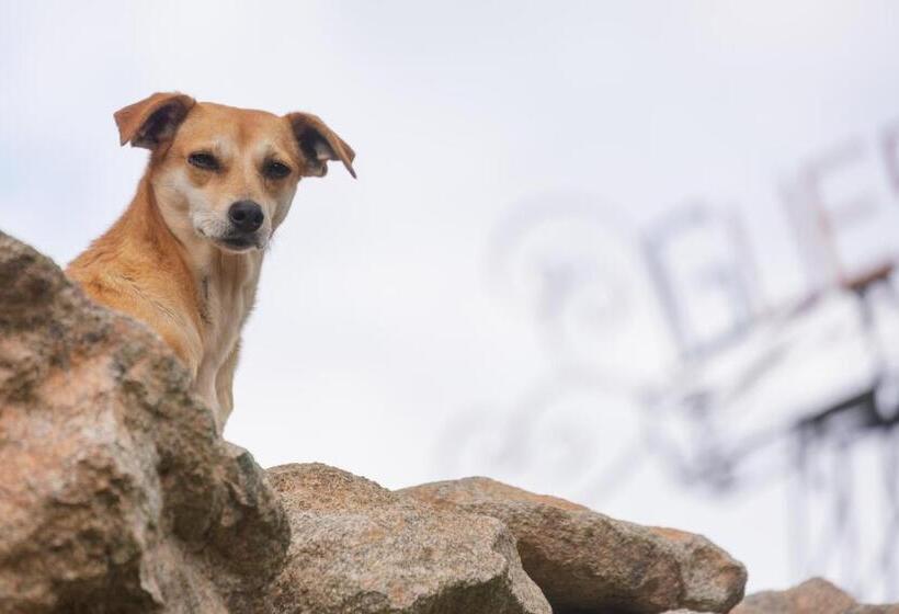 Pensió Guest House Família