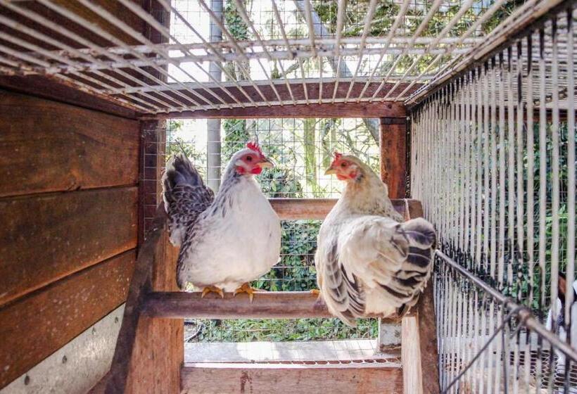 Pensió Guest House Família