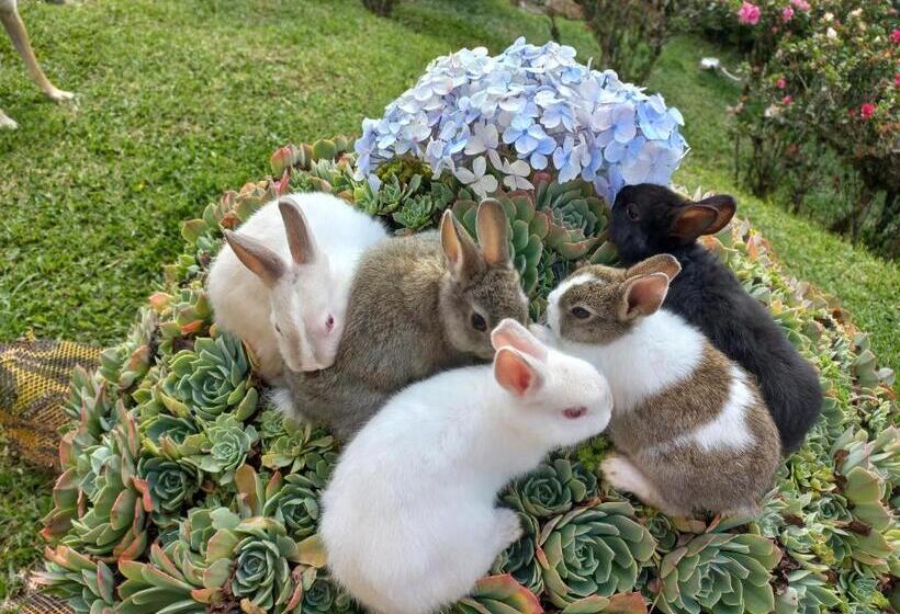 Pensió Guest House Família