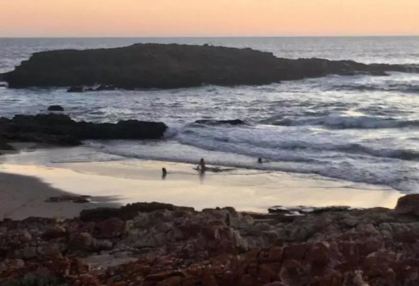 پانسیون 387 Bushbuck